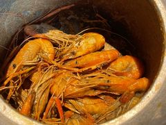 -雷泰泰台式胡椒虾(滨江金铂湾店)