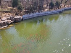 -迎泽公园