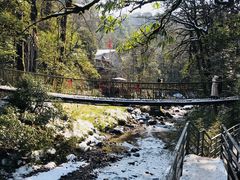 -龙苍沟森林公园
