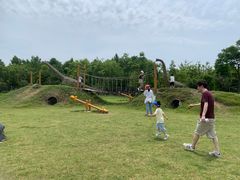 -上海长兴岛郊野公园