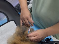 -达爱动物医院·犬猫分区·CT·复杂眼科(远洋山水分院)
