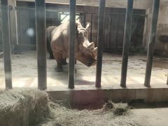 -石家庄市动物园