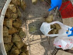 -赵记粽子(司前街店)