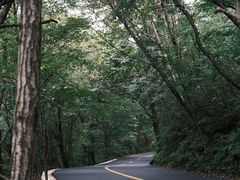 -关门山森林公园