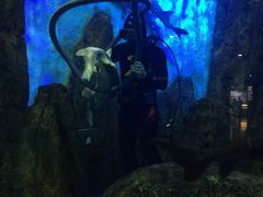 -大连圣亚海洋世界