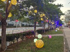 -三亚红色娘子军演艺公园景区