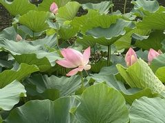 -棒棰岛宾馆景区
