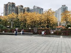 -荔湾湖公园