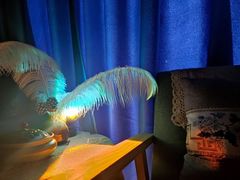 -芳朴养生按摩spa·男士