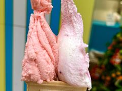 番石榴-柠檬车露(卖草地店)