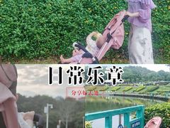 -东莞植物园
