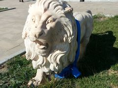 -亿利库布其七星湖沙漠生态旅游区