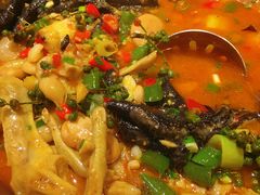 -老号尤兔头(幸福店)