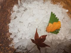-月龍吟(朝龙汇店)