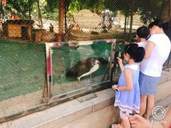 -陕西自然博物馆