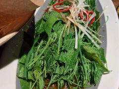 -鸽子窝(青塔店)