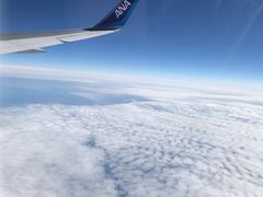 -全日本空输株式会社(上海办事处)