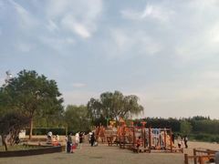 -大兴滨河森林公园