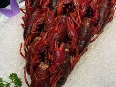 -洪福龙虾