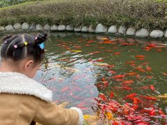 -成飞公园