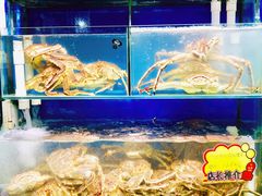 -蚝专家(北滘店)