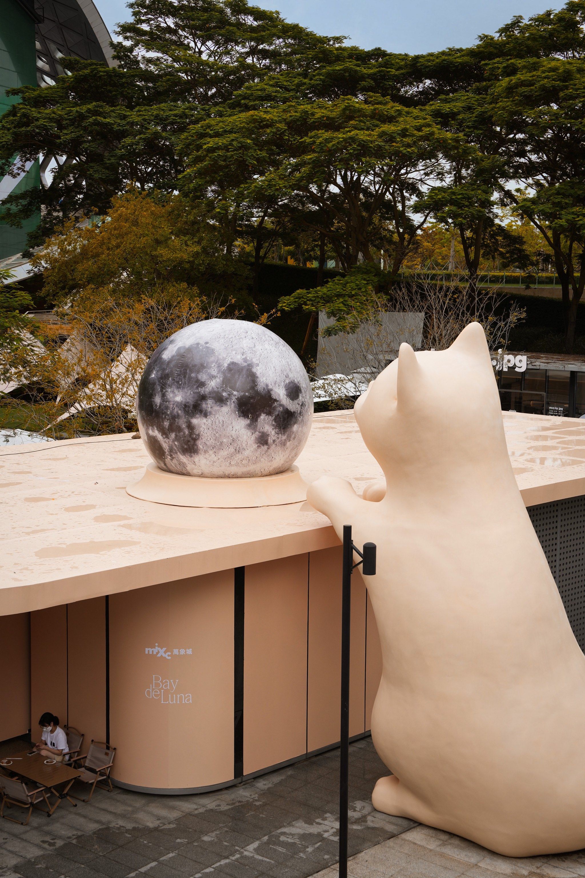 📣喵喵教狂喜⚠️巨型猫咪星球🐱入侵深圳湾🐈