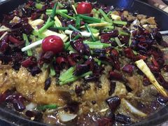 -老板恋上鱼(恒隆广场店)