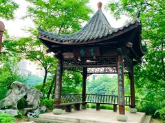 -重庆彩云湖湿地公园