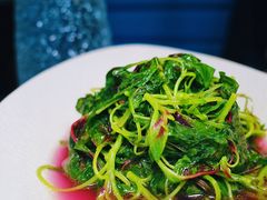 -凤凰湘语·湘粤鲜融(浦东旗舰店)