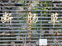 -广州神农草堂中医药博物馆