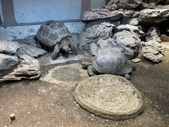 -杭州野生动物世界