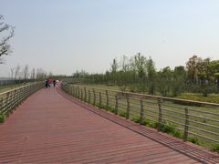 iphone_upload_pic-江滩湿地公园