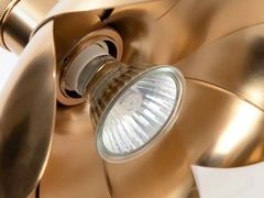 -BEAST野兽派(上海浦东嘉里城店)