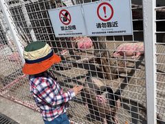 -J Create城市露营咖啡·简餐·宠物(上海动物园店)