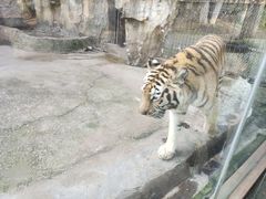 -南昌动物园