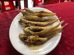 -蛇口康乐快餐鱼仔档(翠苑小区店)