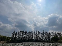 -上海长兴岛郊野公园