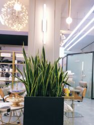 -FUTURE HN男士发型风格设计