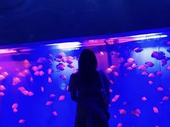 -重庆欢乐海底世界