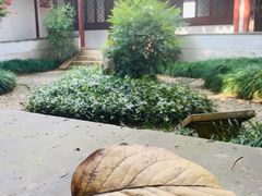 -秋霞圃