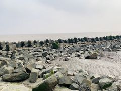 -南汇嘴观海公园