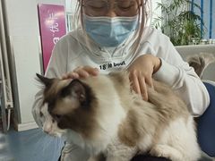 -北京恒爱动物医院(清景园分院)