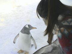 -芜湖新华联大白鲸海洋公园