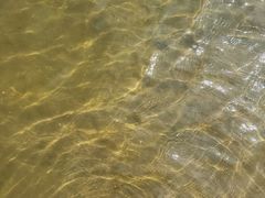 -平湖九龙山旅游度假区