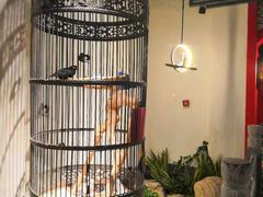 -清真·京华源铜锅涮肉(丰庆店)