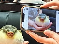 -永安鱼庄·镇江菜(东吴路店)