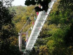 -藏龙百瀑风景区