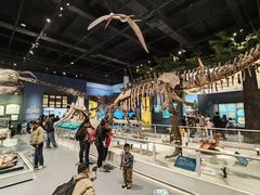 -国家自然博物馆