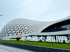 -金沙湖公园