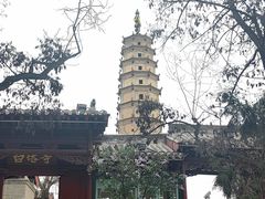 -白塔山公园